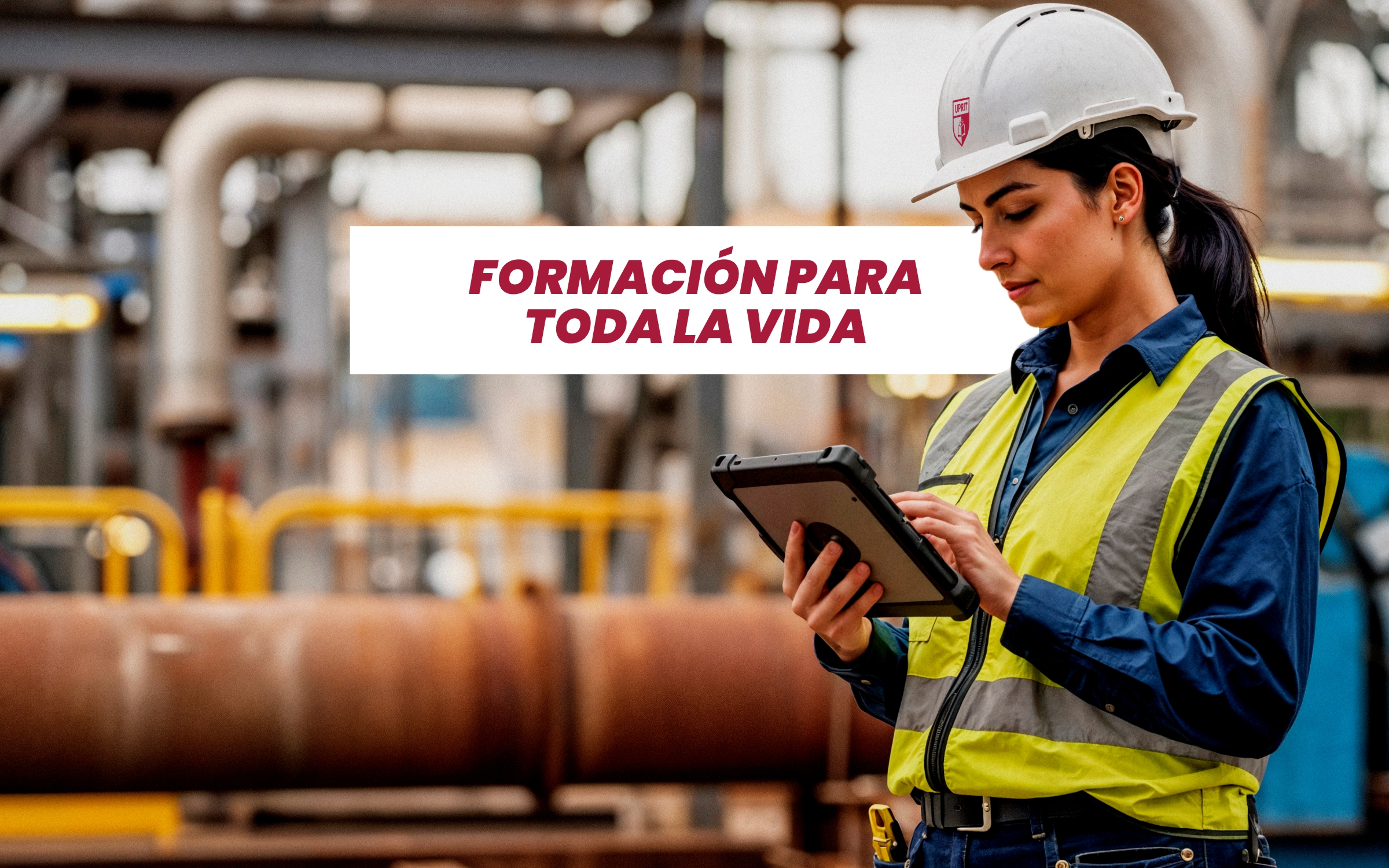 Ingeniería Industrial